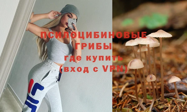 ешки Горняк